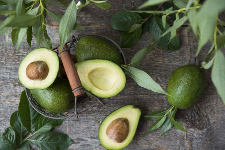 De oorsprong van de avocado